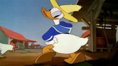 donald duck you tube|donald duck funny videos.